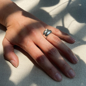 Anillo Mell
