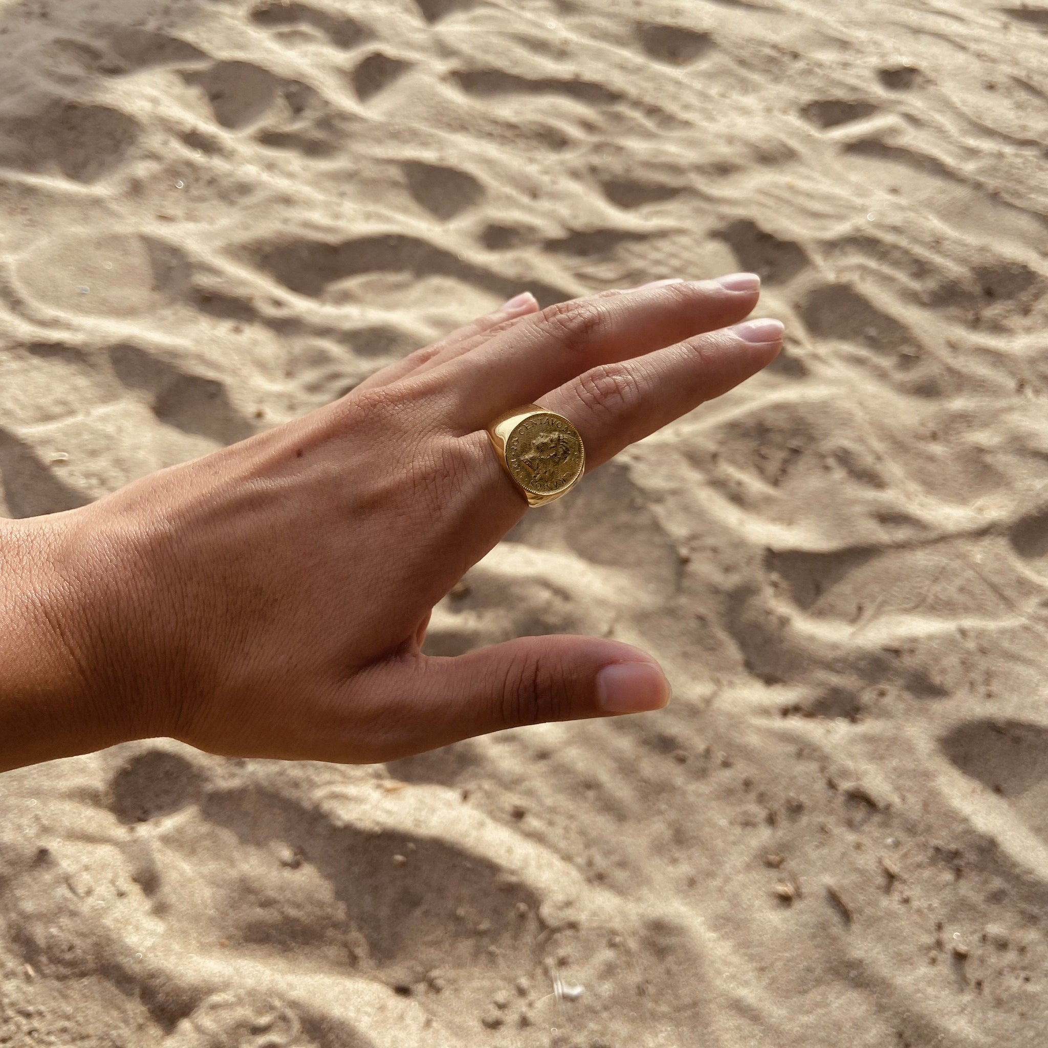 Anillo Dom
