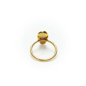 Anillo Leonardo Oro