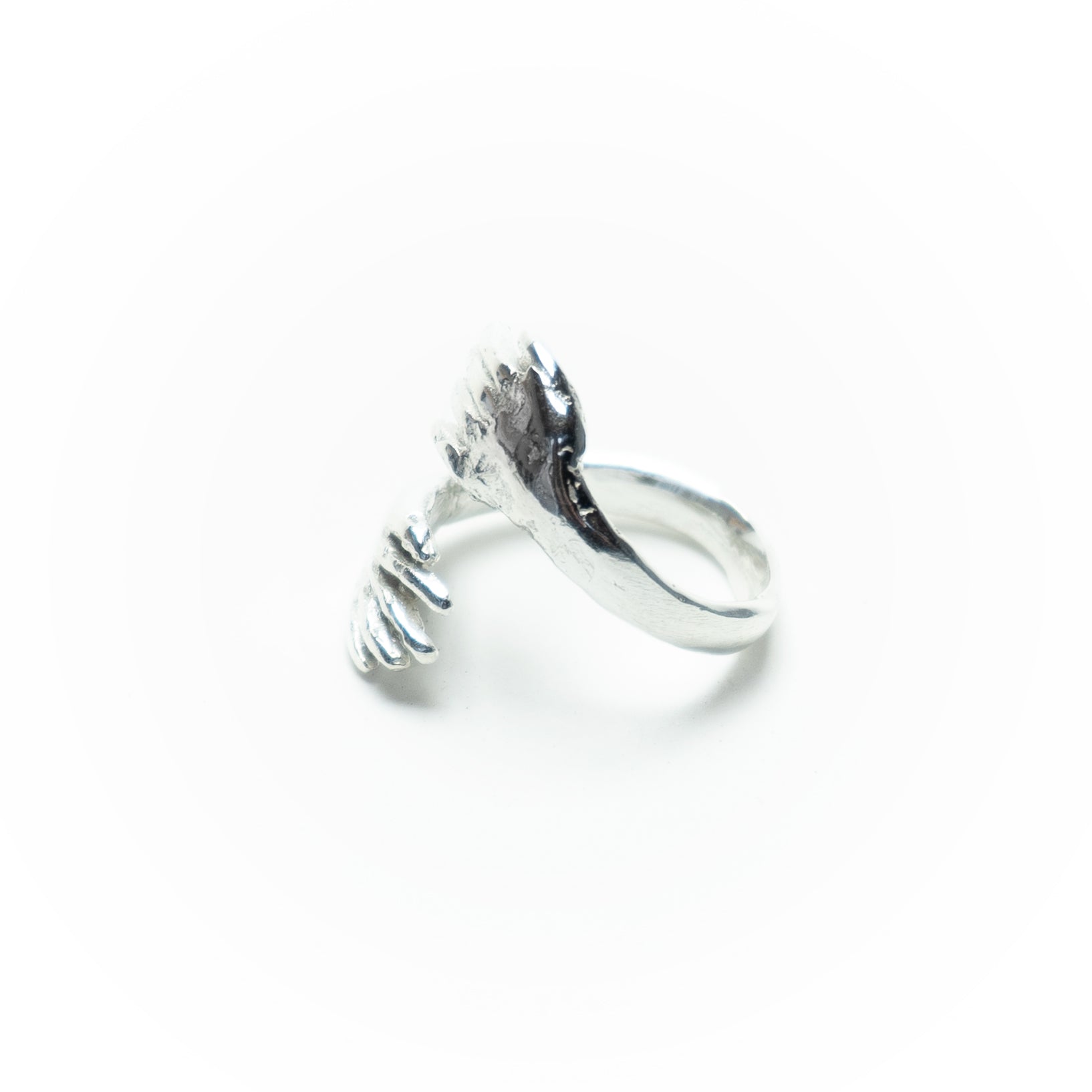 Anillo Dos Manos