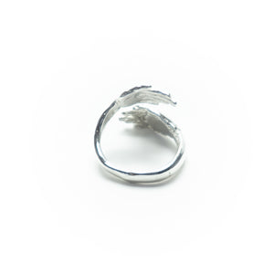 Anillo Dos Manos